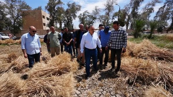 محافظ اسيوط 