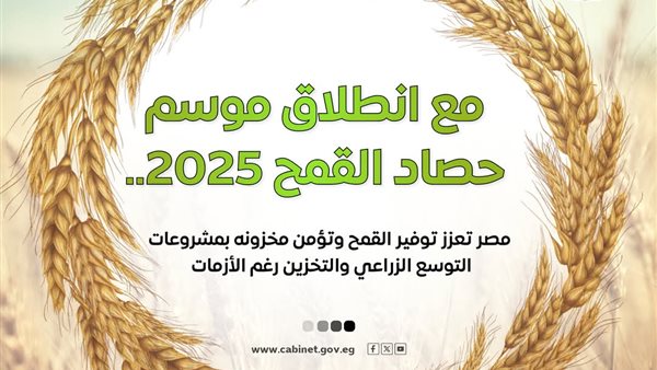 جهود الدولة في تعزيز