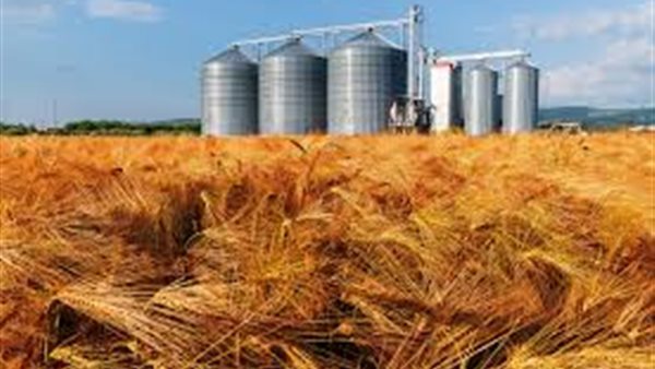 صوامع القمح