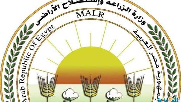 طرح انتاج المشروعات