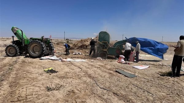 الزراعة تتابع حصاد