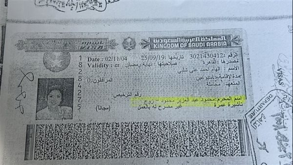 بوسي شلبي ومحمود