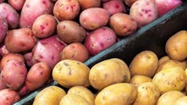 محصول البطاطس