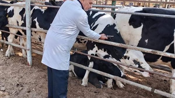  نشاط التقصي والتحصين