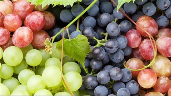 العنب