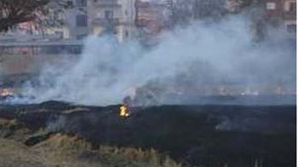 حرائق كفر الشيخ