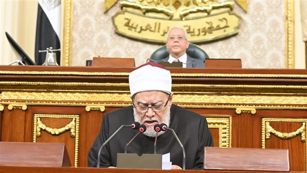 المستشار الدكتور