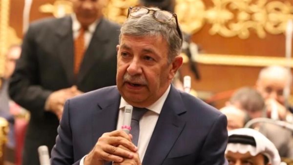 السفير عمرو حلمي