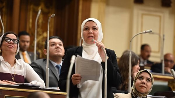  النائبة رحاب عبد