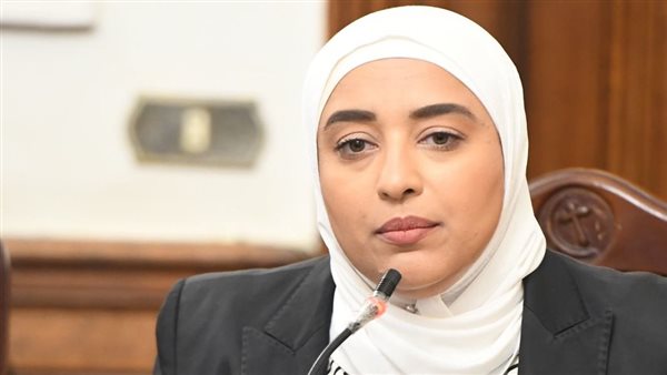 النائبة أميرة أبو