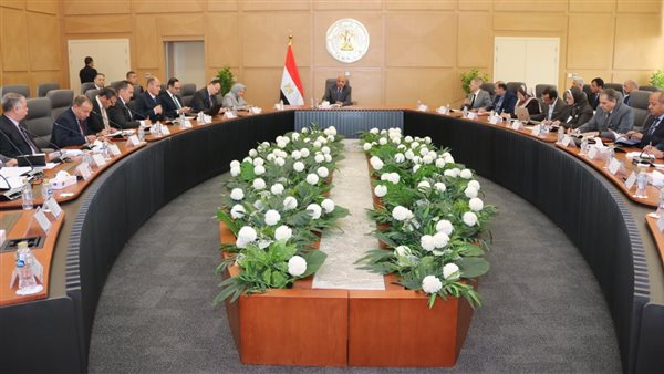 وزير الكهرباء 