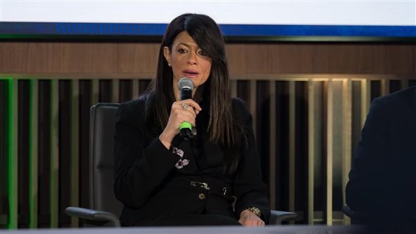 وزيره التخطيط