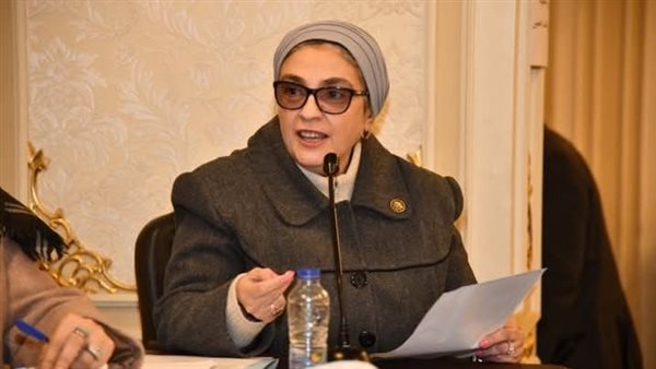 النائبة سميرة الجزار،