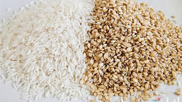 أسعار الأرز اليوم