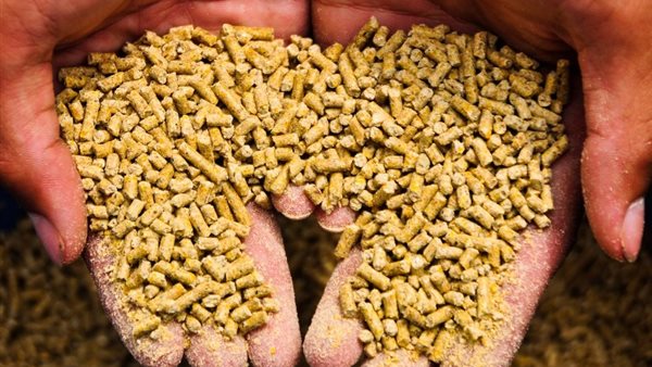 أسعار أعلاف الدواجن