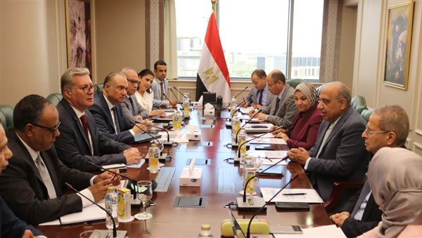 وزير الكهرباء 