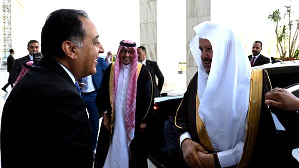 جانب من الاستقبال