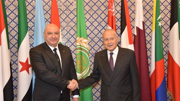 أبو الغيط - عون 