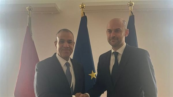 وزيرا خارجية مصر