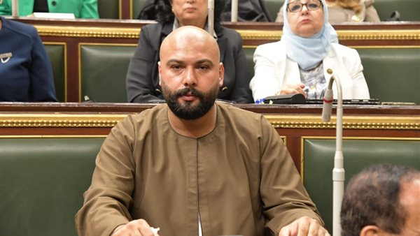  النائب إبراهيم الديب،