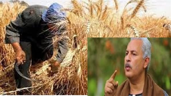 نقيب الفلاحين 