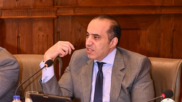 المستشار محمود فوزي،