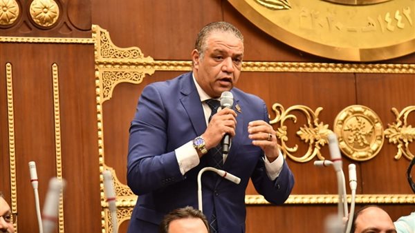 النائب محمد عزمي،