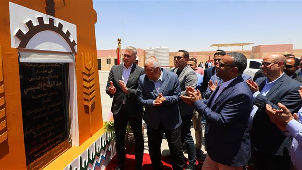 وزير البترول 