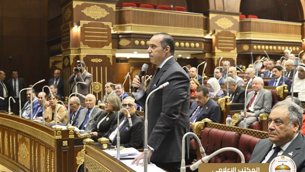 المستشار محمود فوزي،