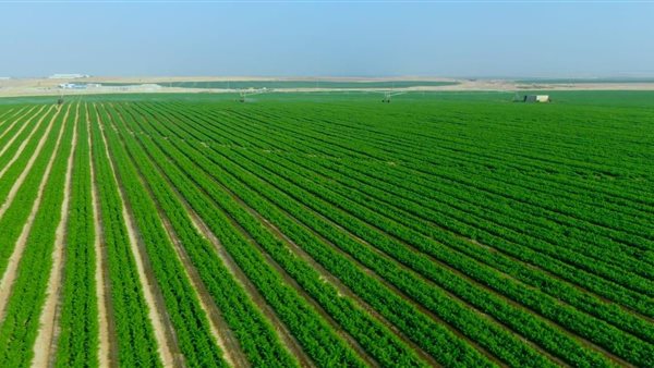 أهم المشاريع القومية