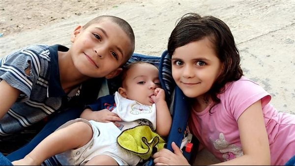 الدكتور حمدي النجار