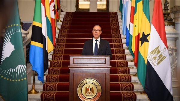 بدر عبد العاطي