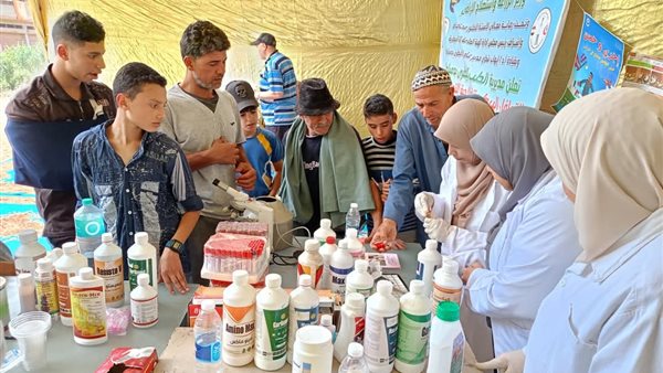 جانب من القوافل 