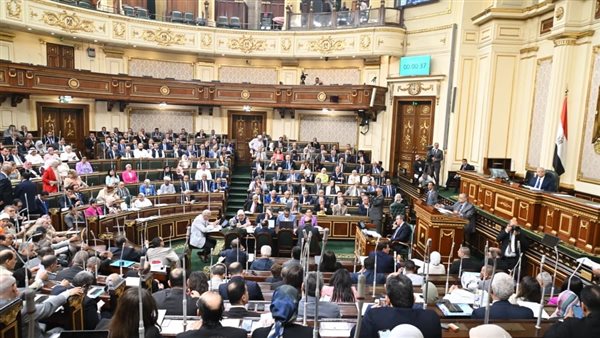 النائب عبد العليم