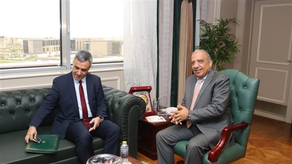 وزير الكهرباء 