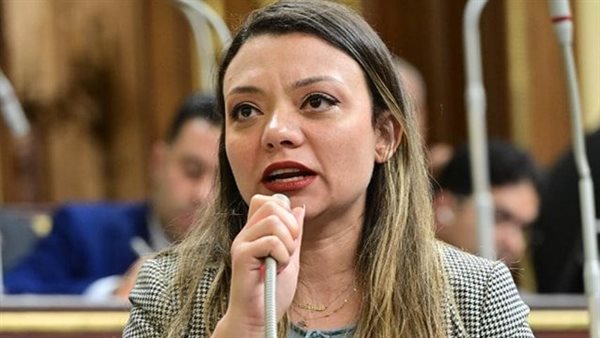 النائبة مي كرم، عضو