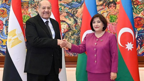 المستشار عبد الوهاب