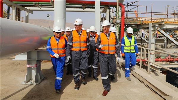 وزير البترول 