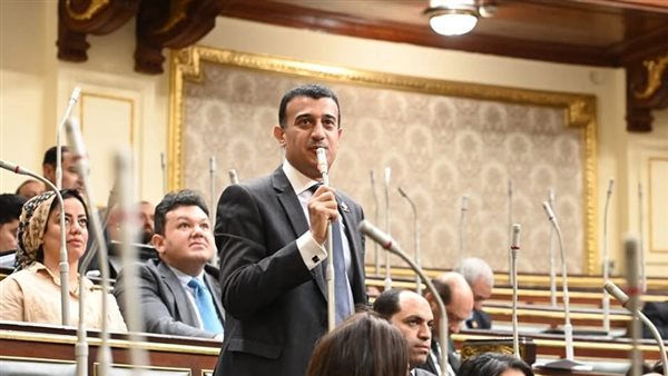 النائب طارق الخولي،