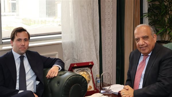 وزير الكهرباء 