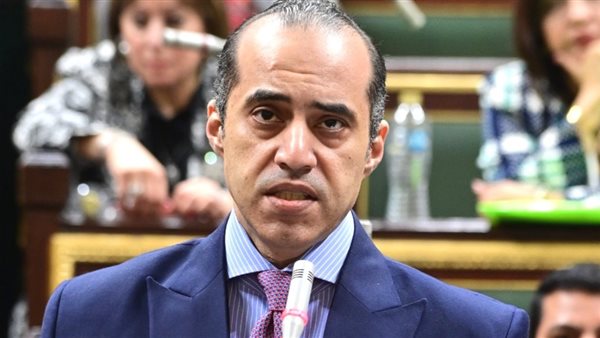 الوزير محمود فوزي،