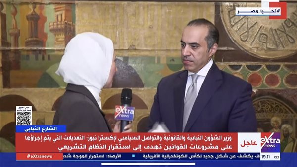 المستشار محمود فوزي،