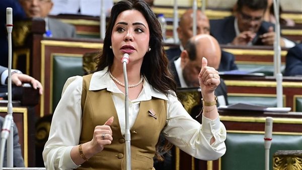 النائبة غادة علي،