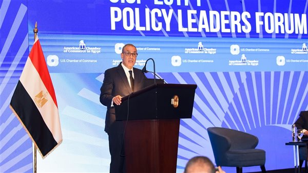 بدر عبد العاطي