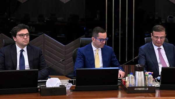 وزير الاستثمار 