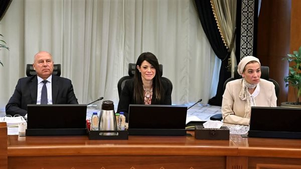 وزيرة التخطيط 