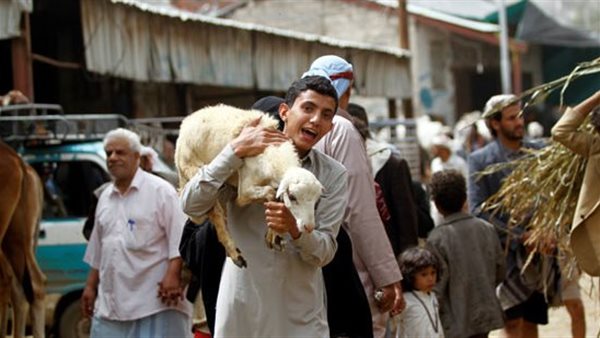 مجزرة عيد الأضحى