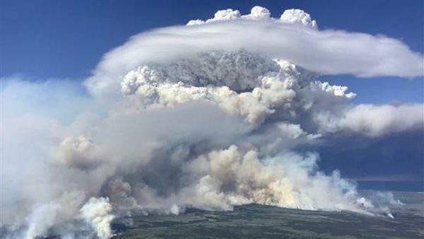 حرائق الغابات تجتاح