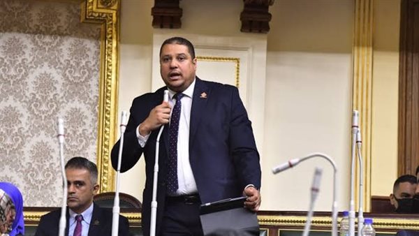 النائب محمد إسماعيل