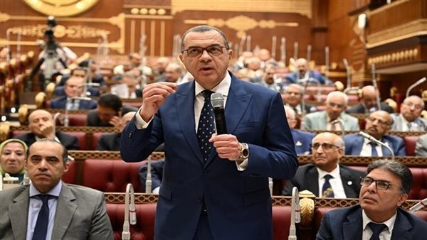 نائب وزير المالية